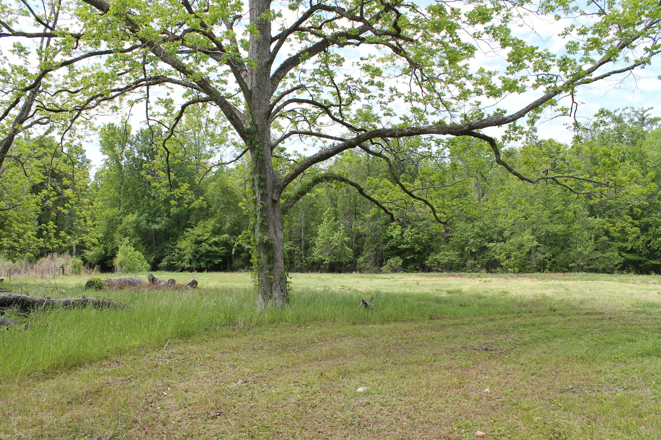 280 Seven Acres Road St. George, SC 29477 - Photo 49 of 64 IMG_7356