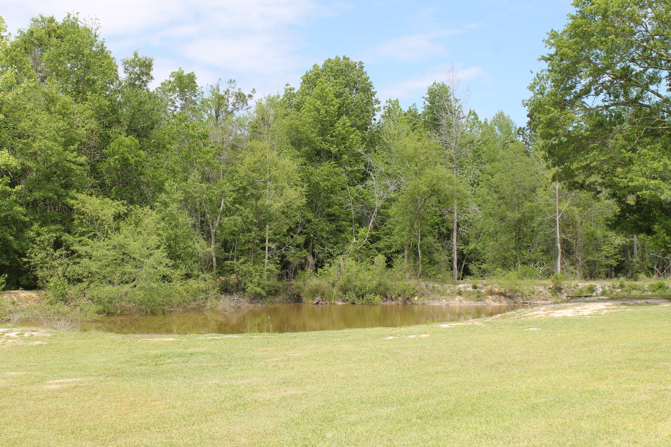 280 Seven Acres Road St. George, SC 29477 - Photo 51 of 64 IMG_7362