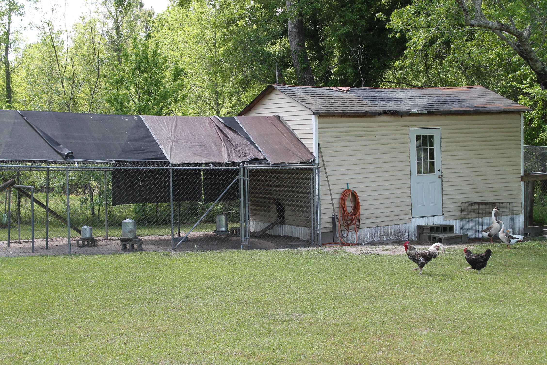 280 Seven Acres Road St. George, SC 29477 - Photo 60 of 64 IMG_7485