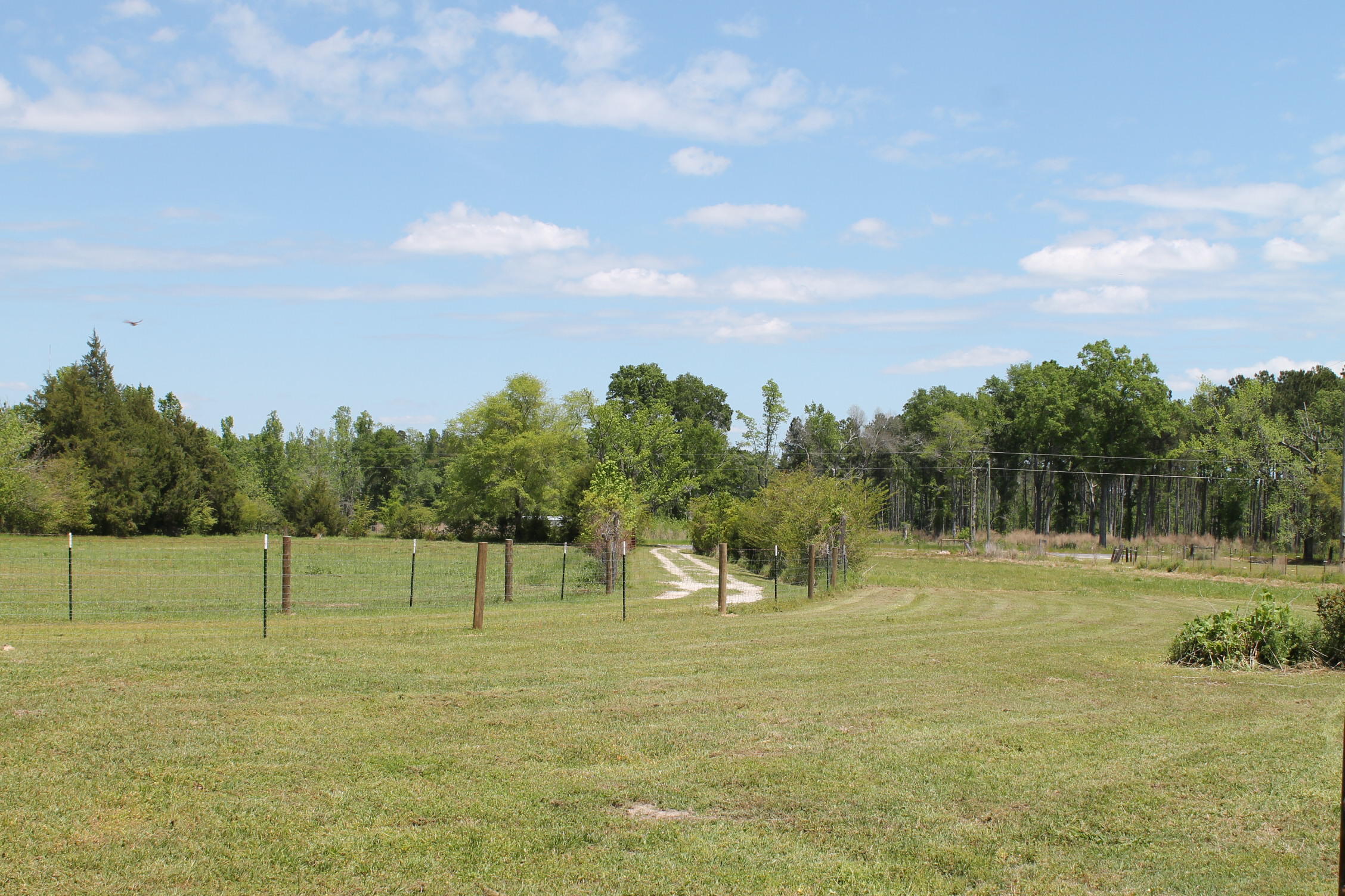 280 Seven Acres Road St. George, SC 29477 - Photo 64 of 64 IMG_7504