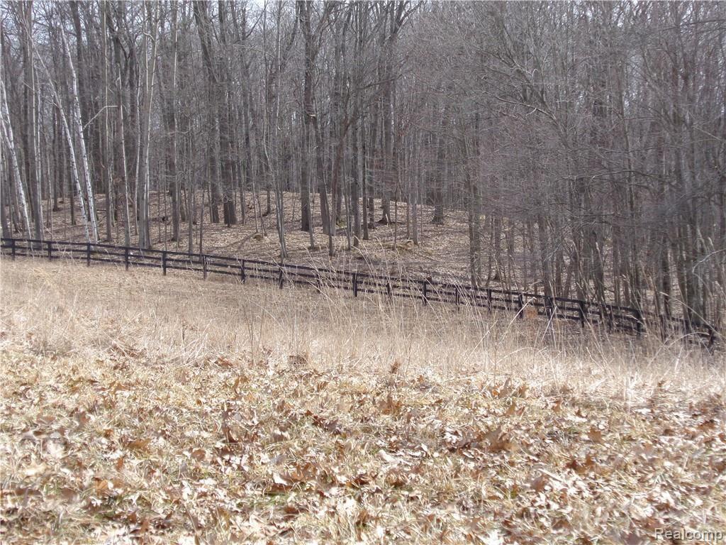 4792 Hough Road Dryden, MI 48428 - Photo 64 of 65 DSC00931.JPG