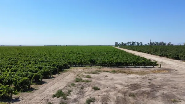 a view of a field with outside view