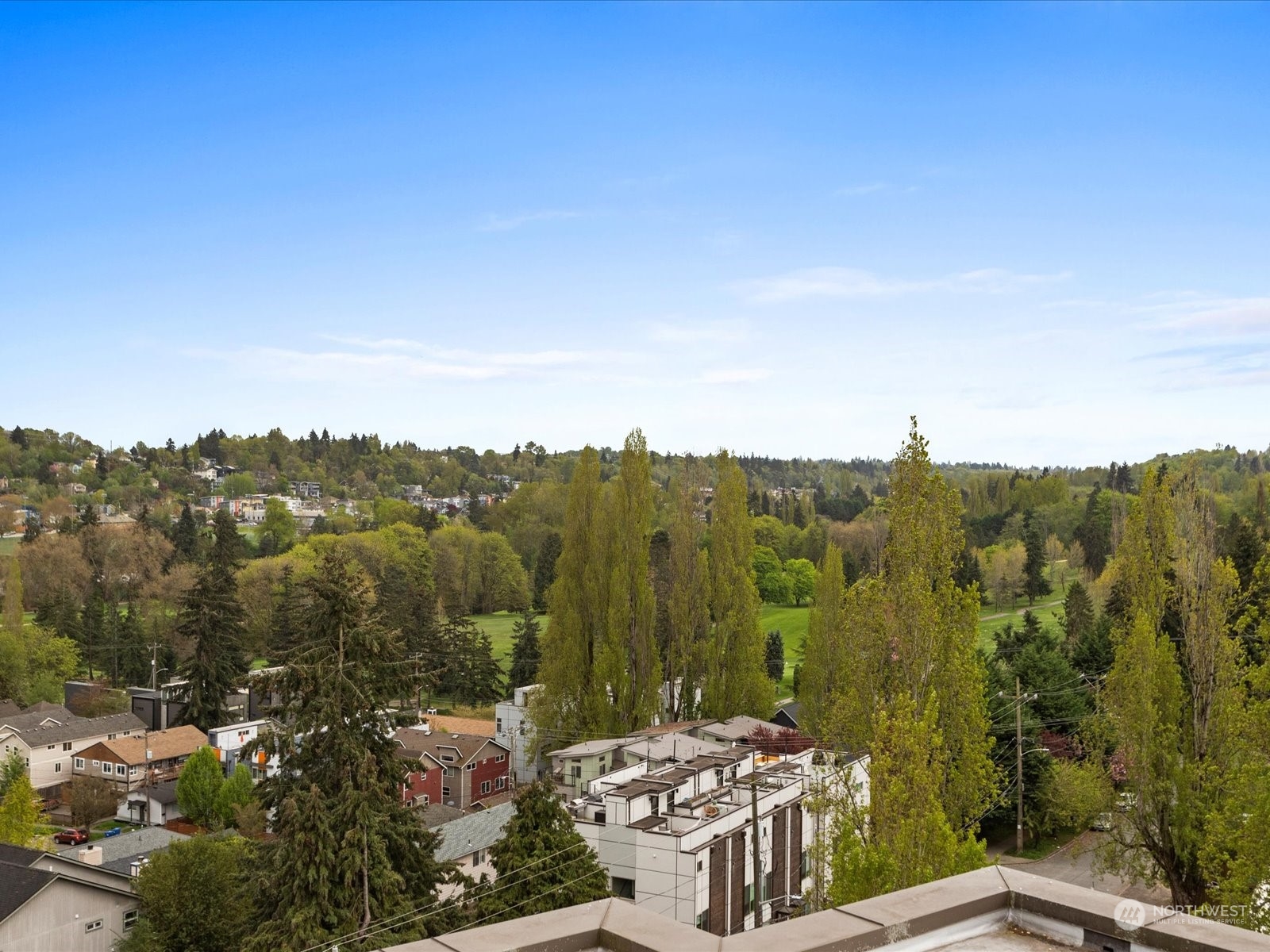 3015 Southwest Avalon Way, Unit 407 Seattle, WA 98126 - Photo 22 of 27 a view of a city with mountains in the background