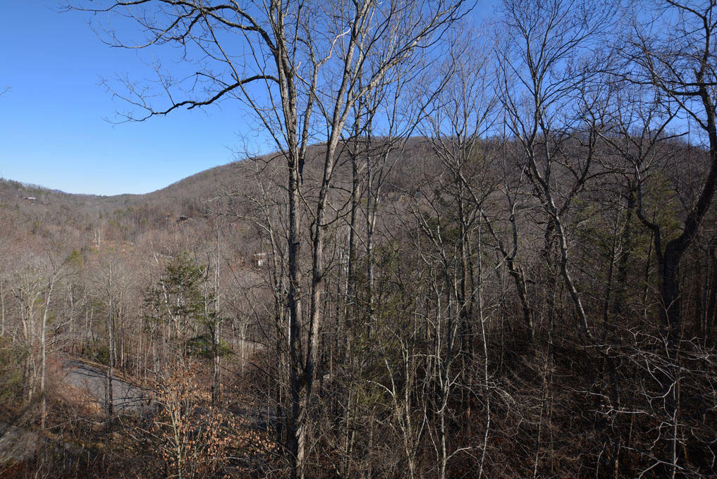453 Loop Road Gatlinburg, TN 37738 - Photo 4 of 32 D