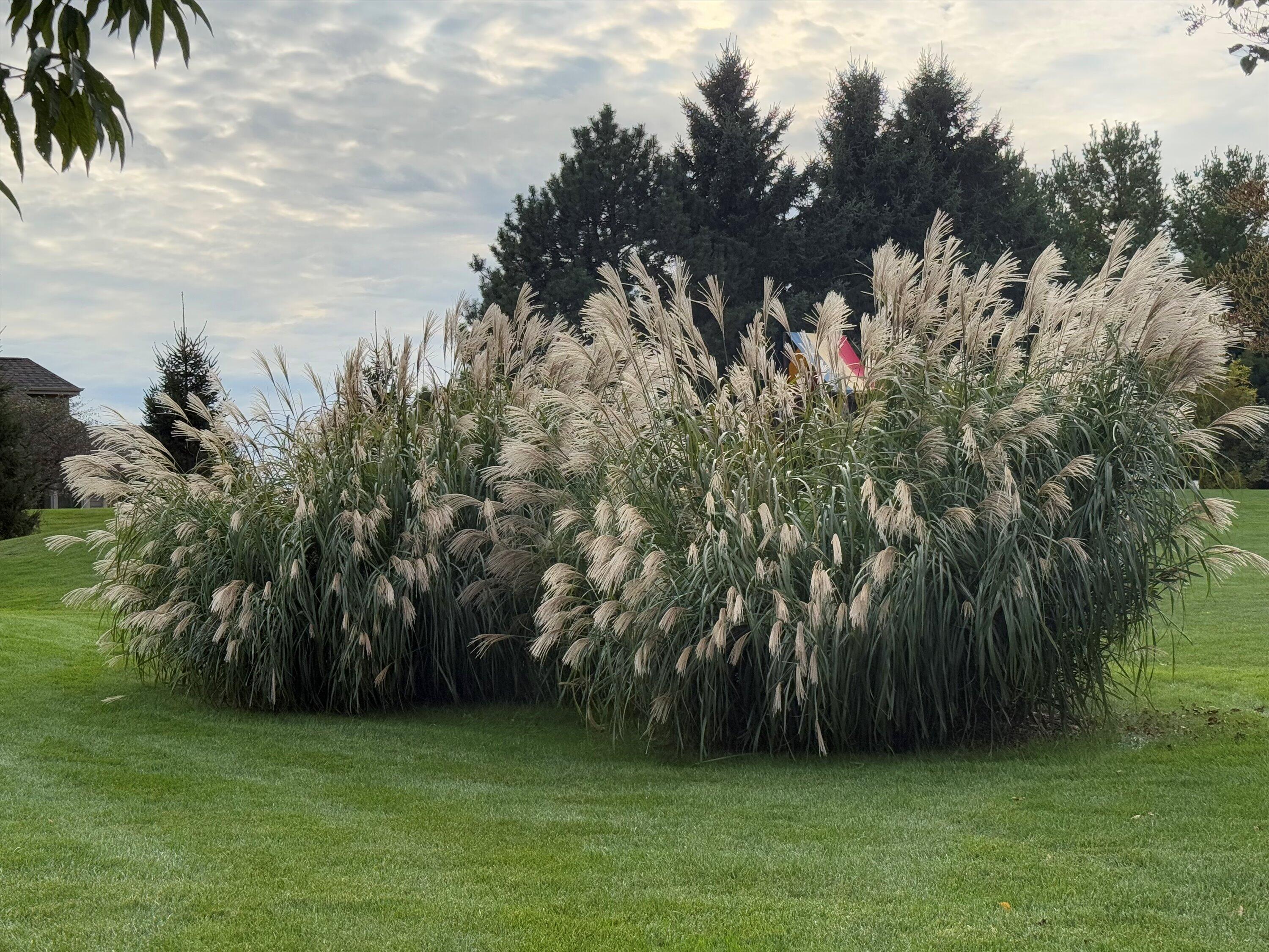 139 Legend Court Wales, WI 53183 - Photo 99 of 103 23-IMG_7347