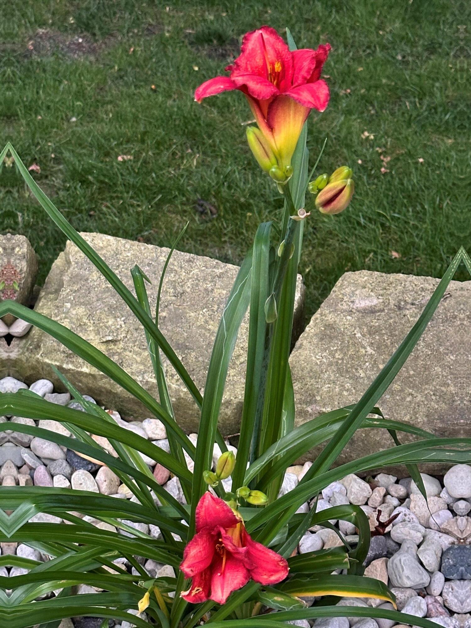 139 Legend Court Wales, WI 53183 - Photo 30 of 103 04-IMG_2996