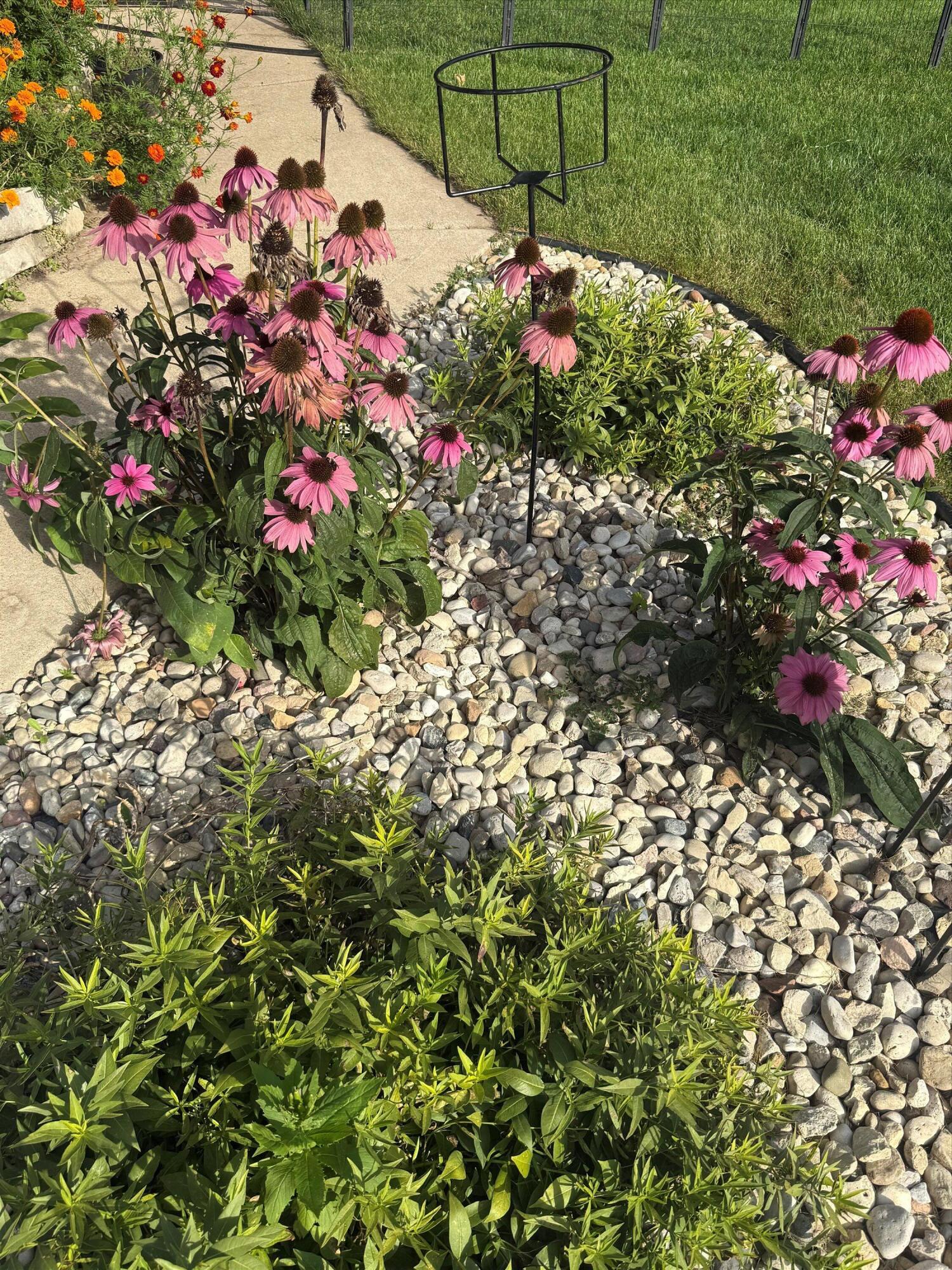 139 Legend Court Wales, WI 53183 - Photo 31 of 103 20-IMG_3683