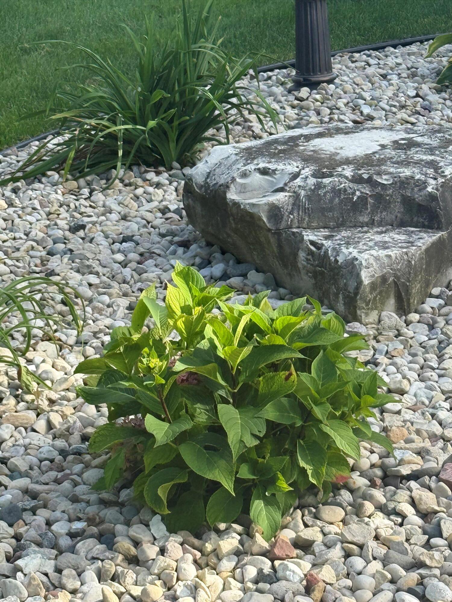 139 Legend Court Wales, WI 53183 - Photo 88 of 103 06-IMG_3666