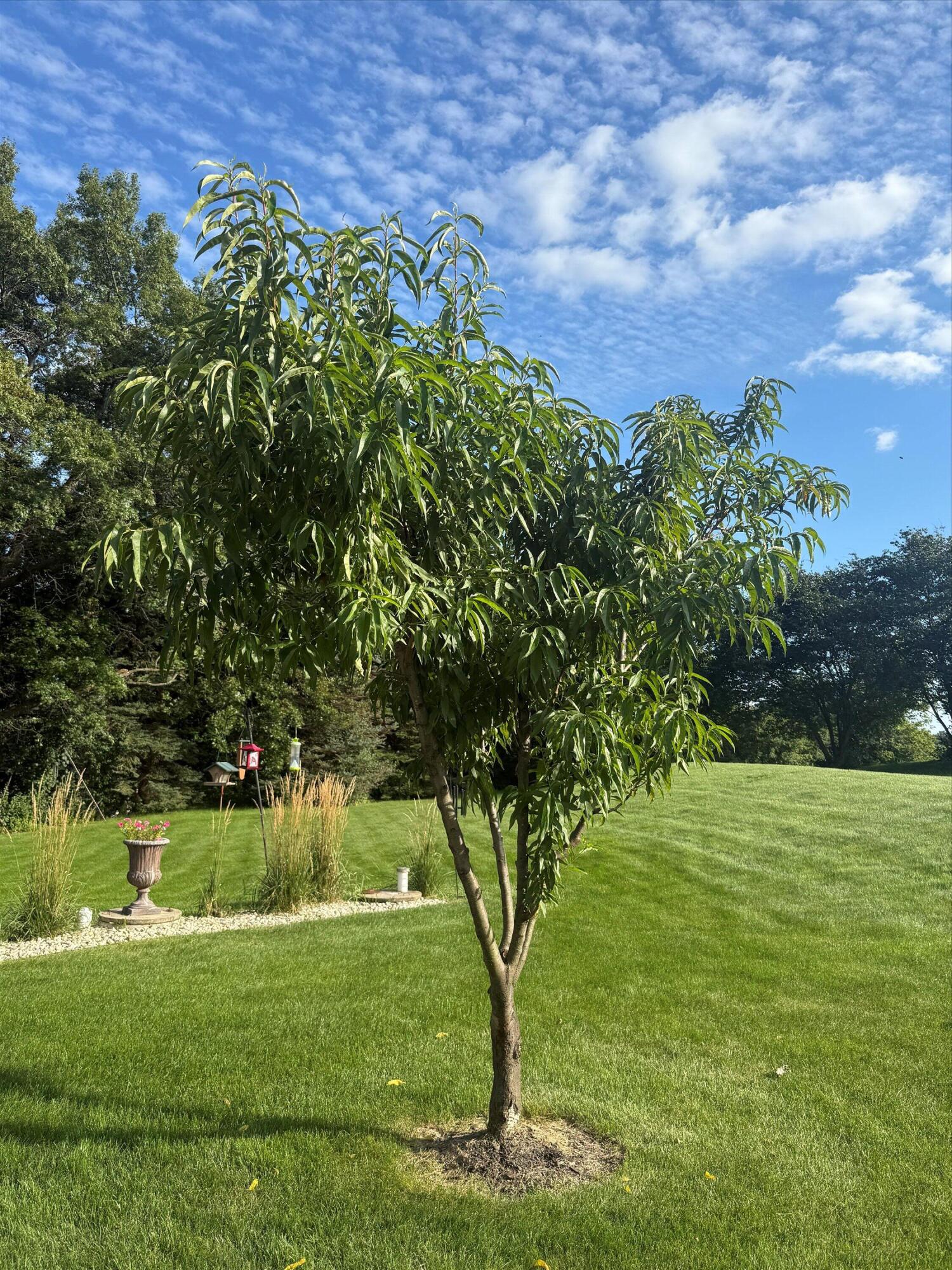 139 Legend Court Wales, WI 53183 - Photo 95 of 103 16-IMG_3678