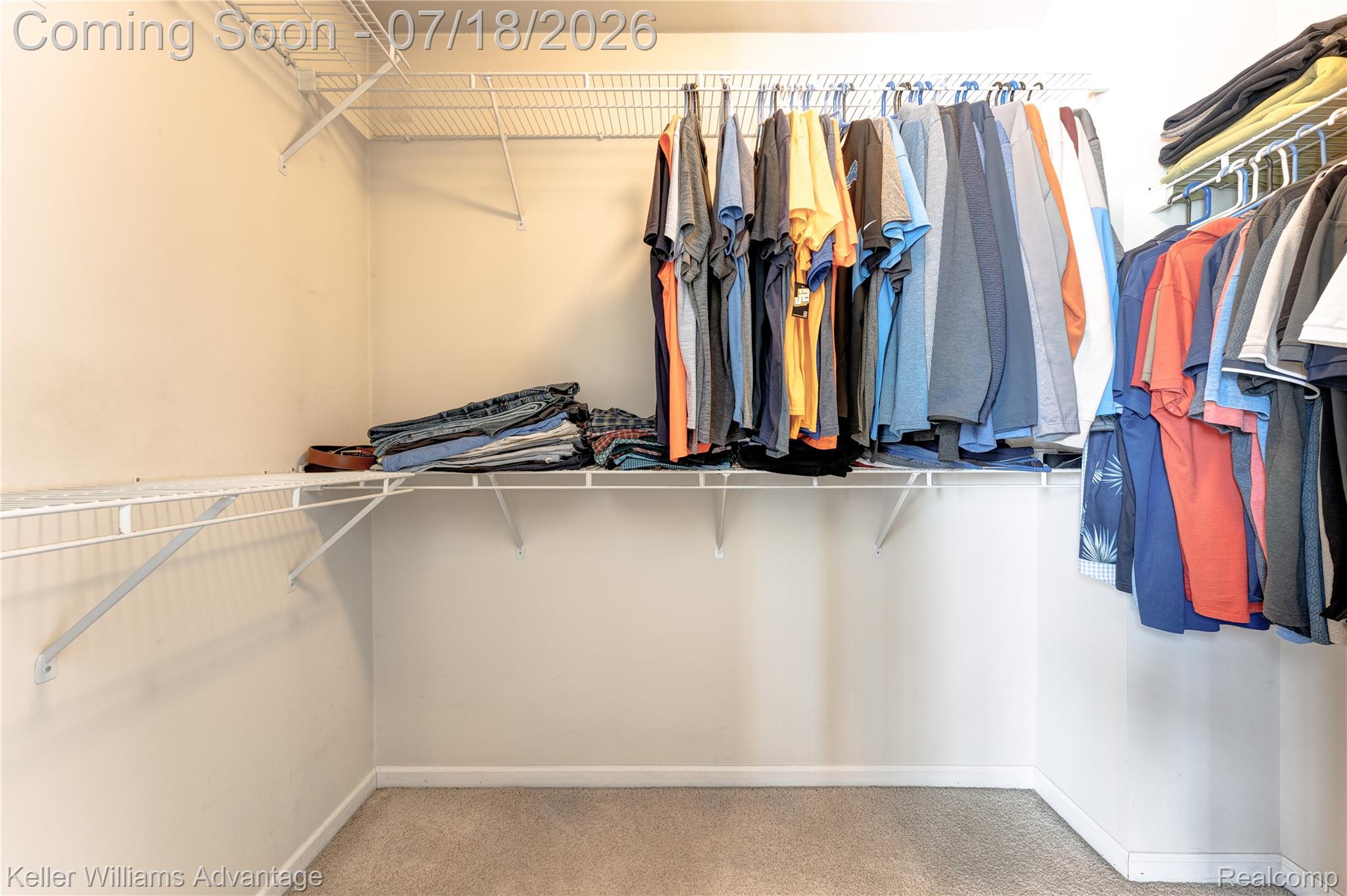 41647 Mitchell Road Novi, MI 48377 - Photo 33 of 43 Walk-in closet featuring carpet flooring and light-toned walls