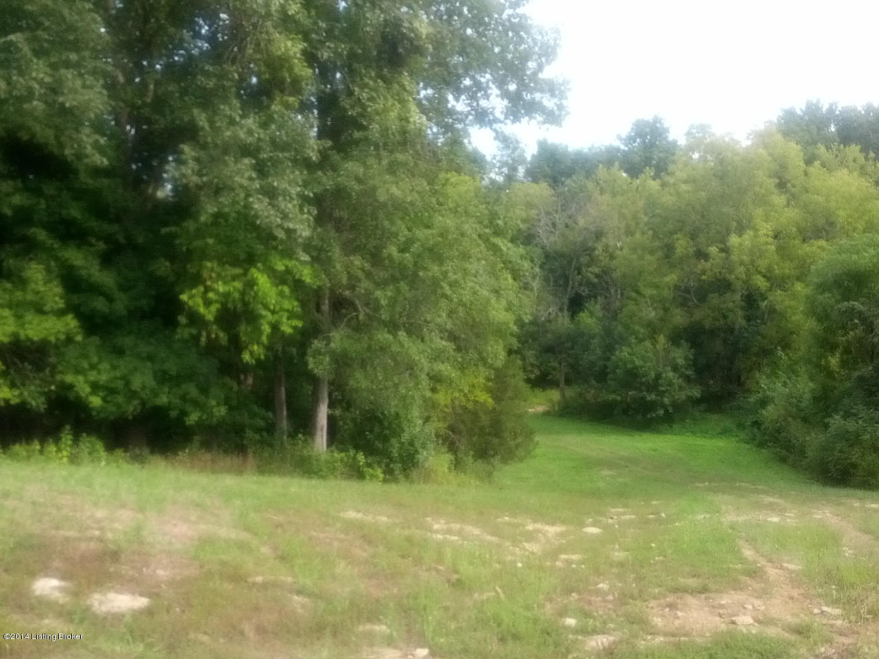 2950 Point Pleasant Road Eminence, KY 40019 - Photo 7 of 15 IMG_20140909_161814