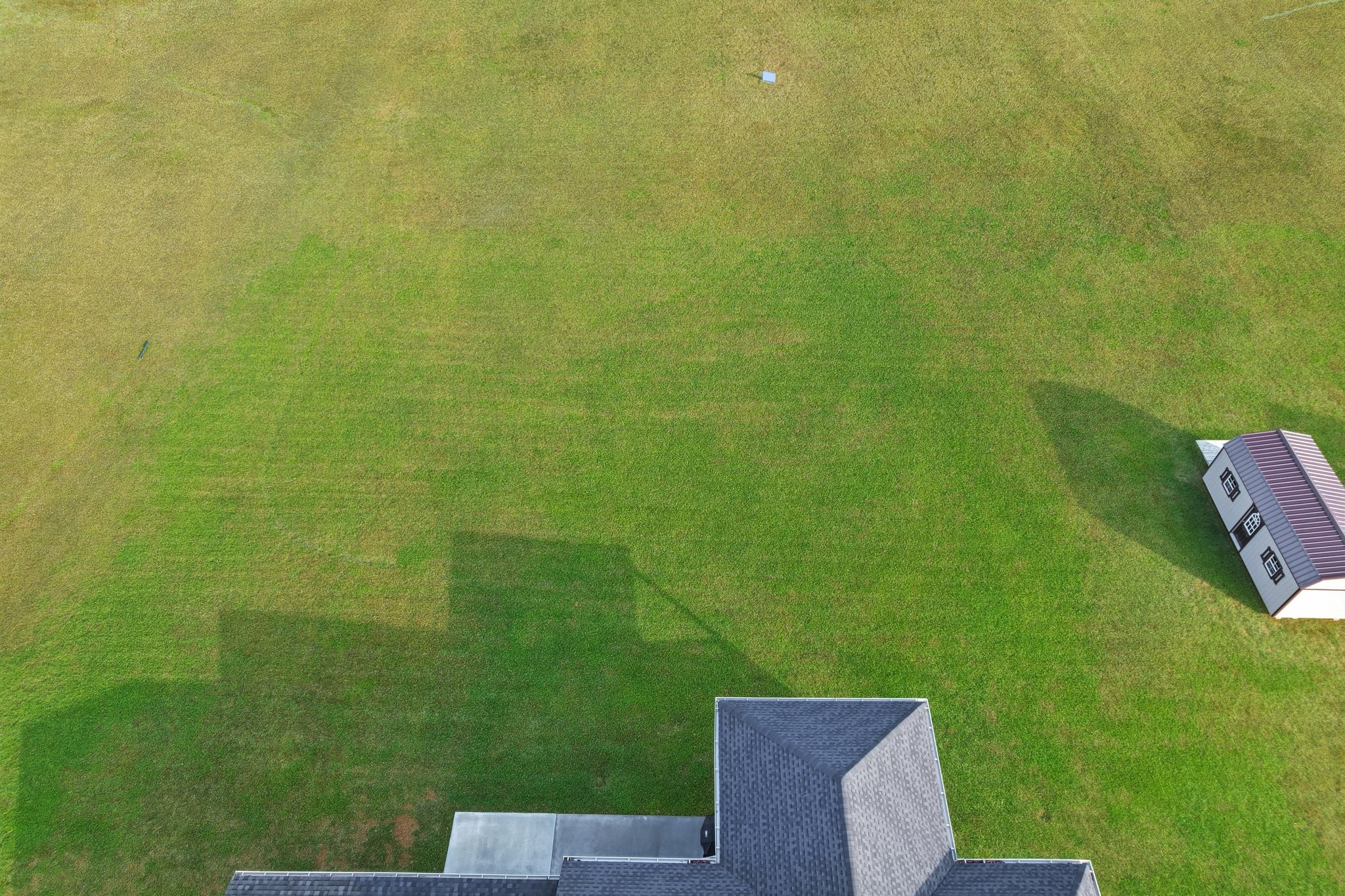 5685 Minnis Road Springfield, TN 37172 - Photo 91 of 93 a view of a yard