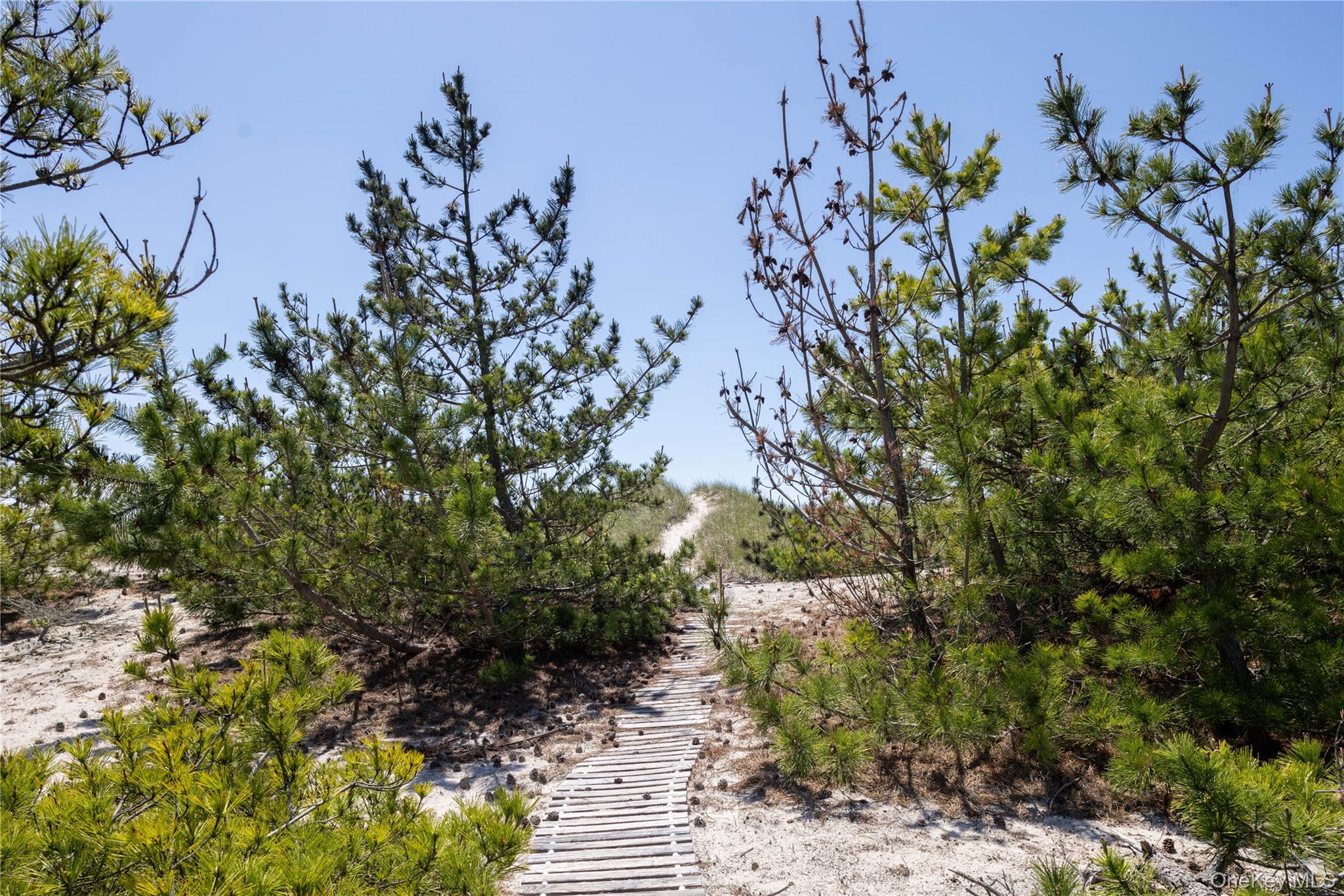 398 Dune Road Westhampton Beach, NY 11978 - Photo 26 of 31