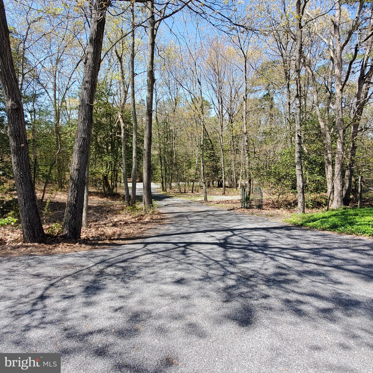 36 Cobbs Mill Road Alloway, NJ 08302 - Photo 2 of 41 a view of a park with large trees