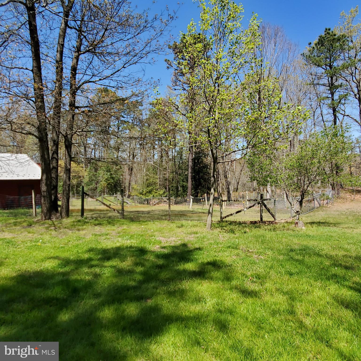 36 Cobbs Mill Road Alloway, NJ 08302 - Photo 12 of 41 a backyard of apartments with large trees