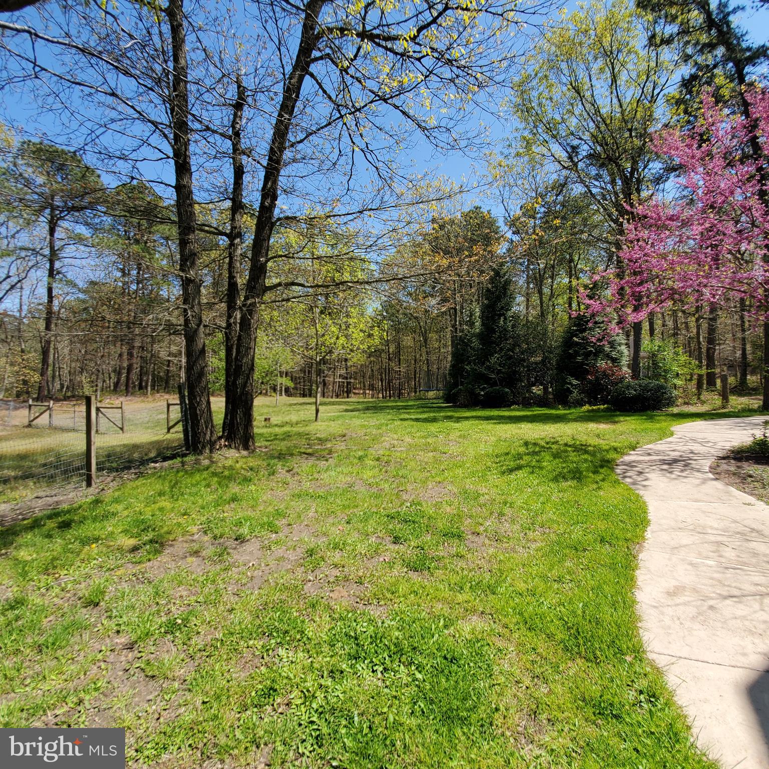 36 Cobbs Mill Road Alloway, NJ 08302 - Photo 13 of 41 a view of a backyard with large trees