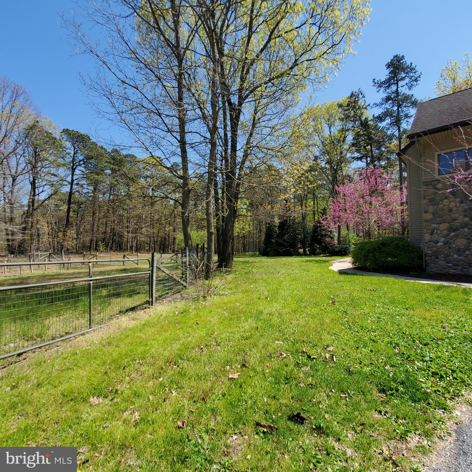 36 Cobbs Mill Road Alloway, NJ 08302 - Photo 14 of 41 a view of swimming pool with a yard