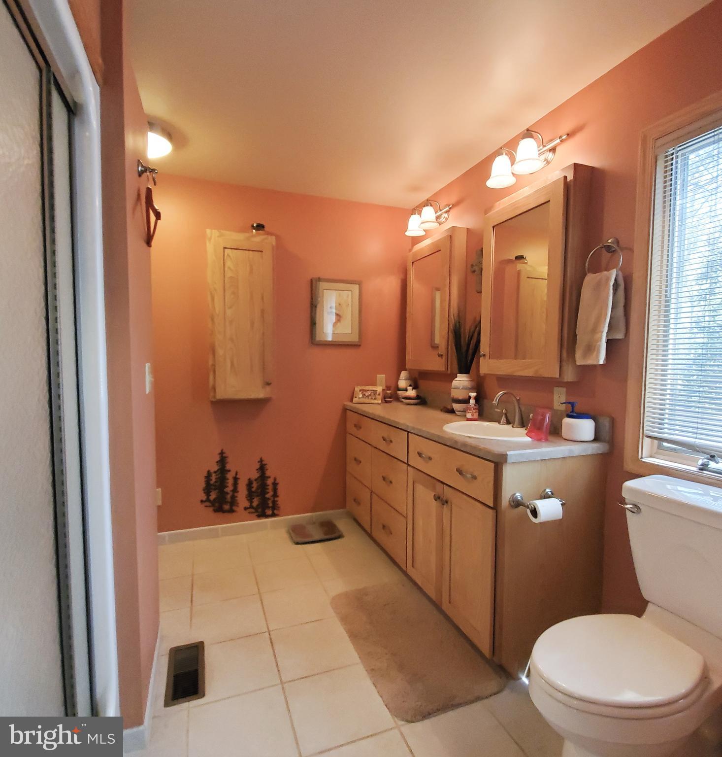 36 Cobbs Mill Road Alloway, NJ 08302 - Photo 26 of 41 a bathroom with a sink a toilet and mirror