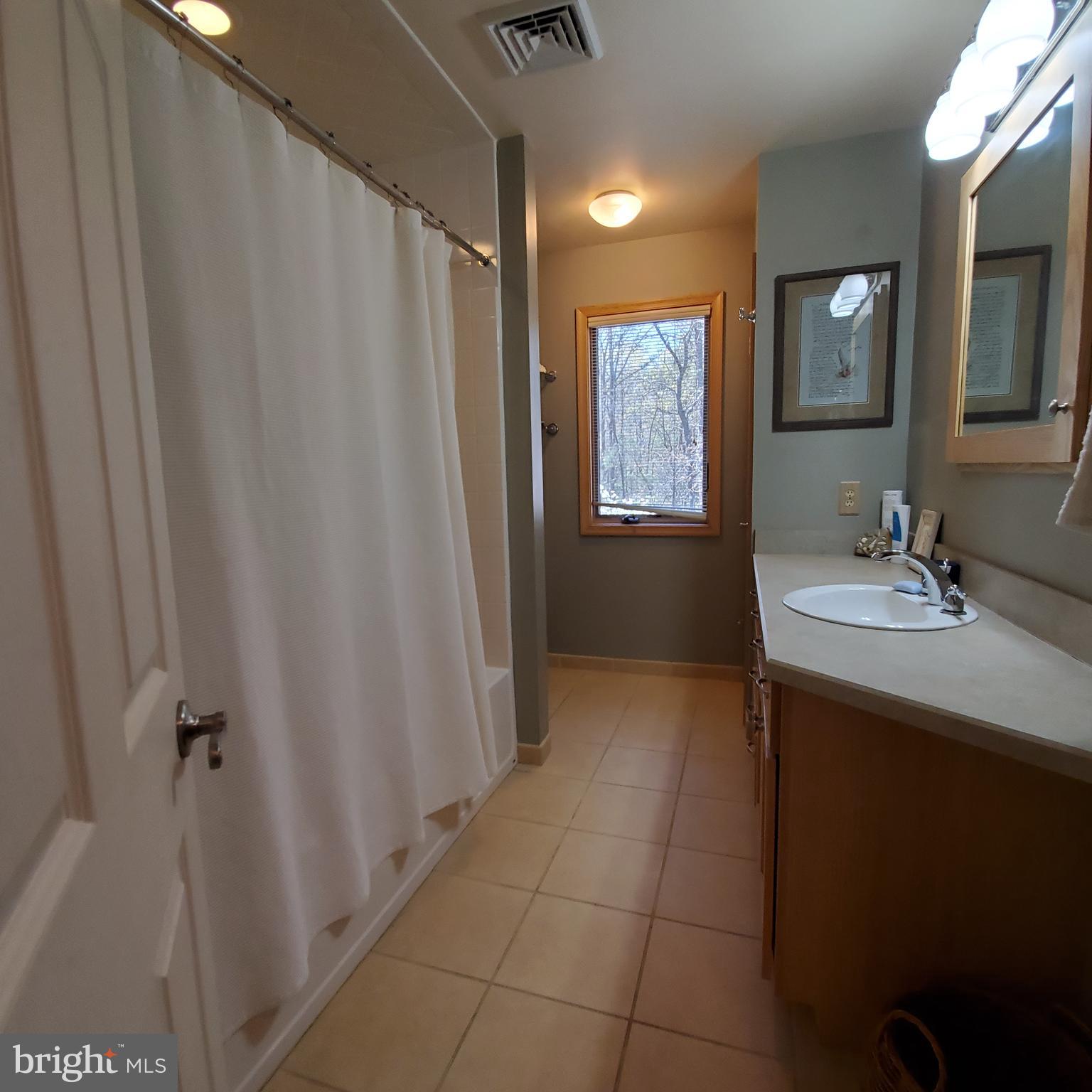 36 Cobbs Mill Road Alloway, NJ 08302 - Photo 36 of 41 a bathroom with a sink a mirror and a shower