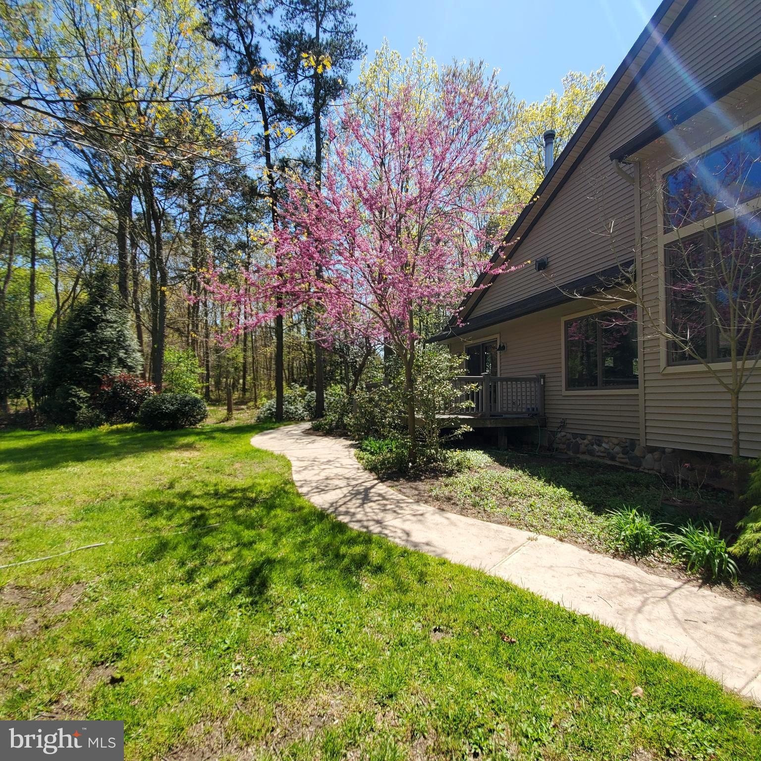 36 Cobbs Mill Road Alloway, NJ 08302 - Photo 5 of 41 a backyard of a house with plants and large tree