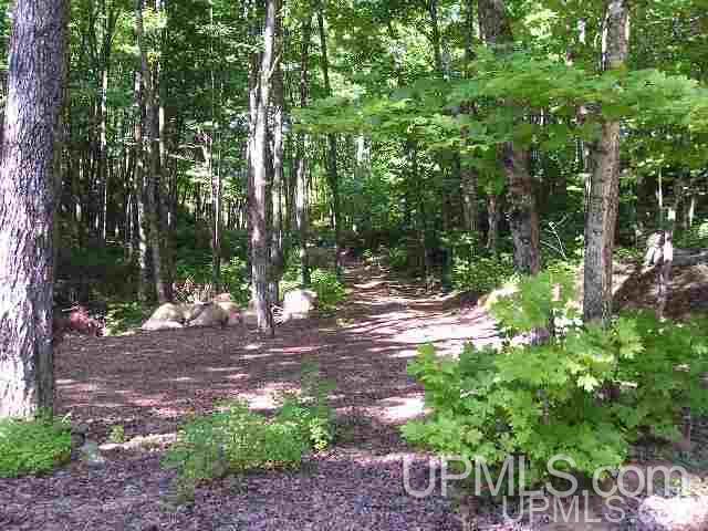 Lot 27 Secluded Point Road Michigamme, MI 49861 - Photo 20 of 25 Gallery Image 20