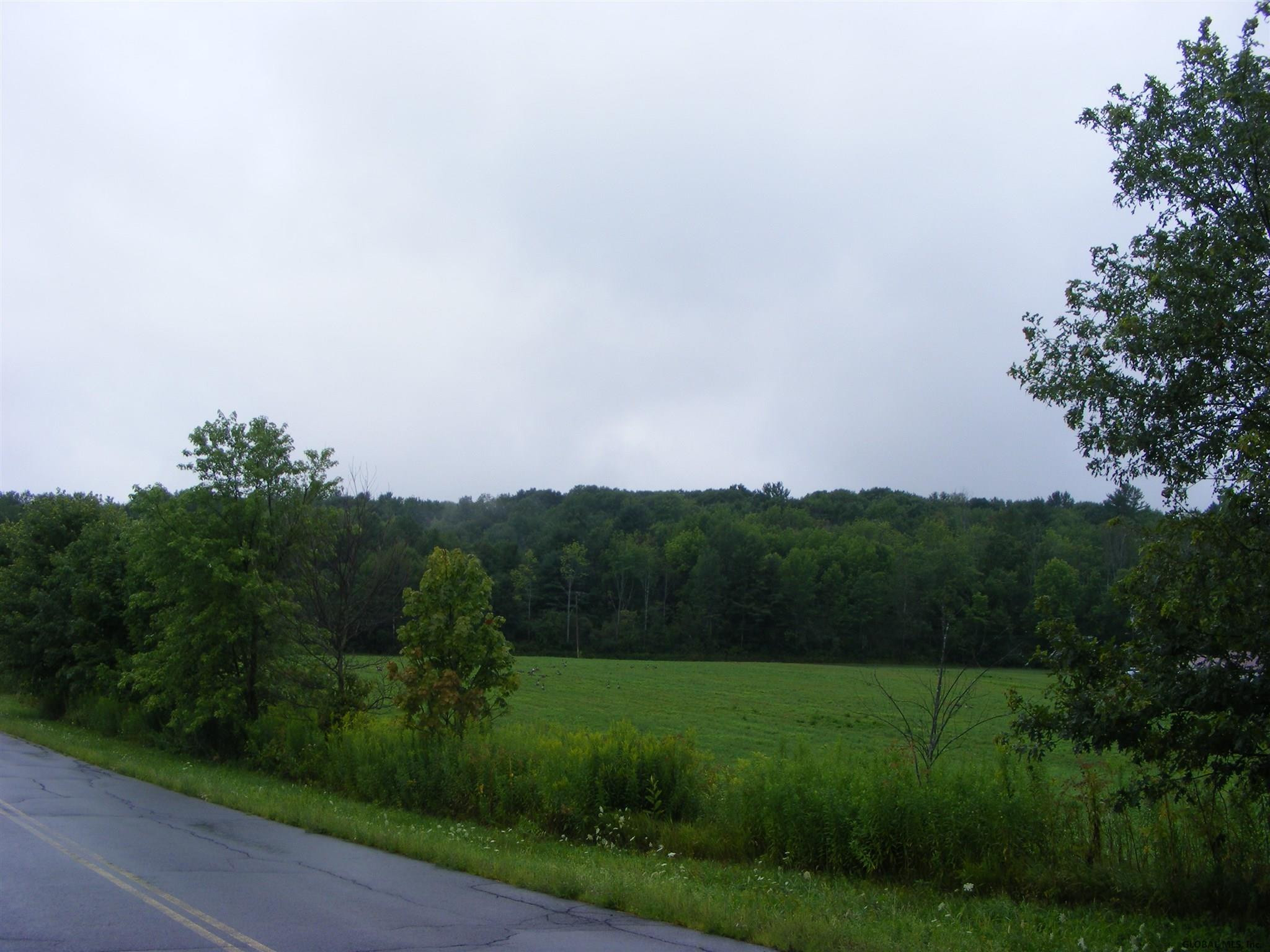 Christie Road Mayfield, NY 12117 - Photo 4 of 6 Photo 4