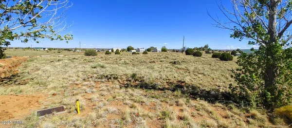 a view of a field