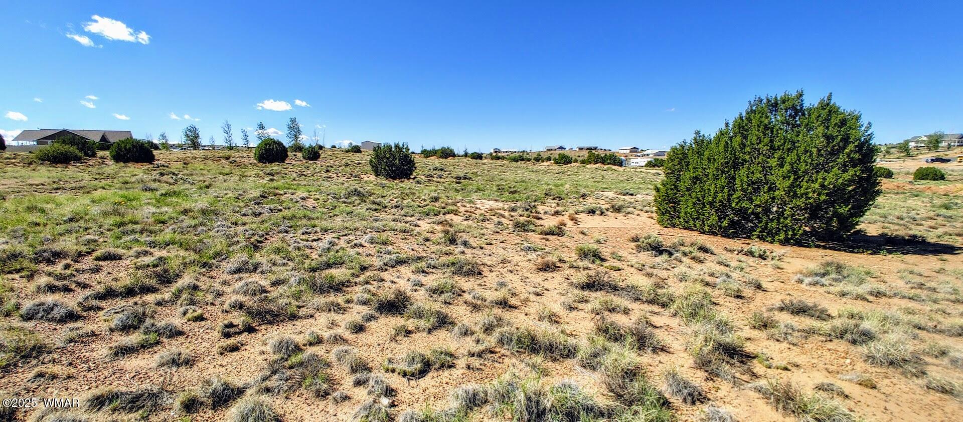 1190 Haystack Road Taylor, AZ 85939 - Photo 2 of 7 a view of a yard with a tree