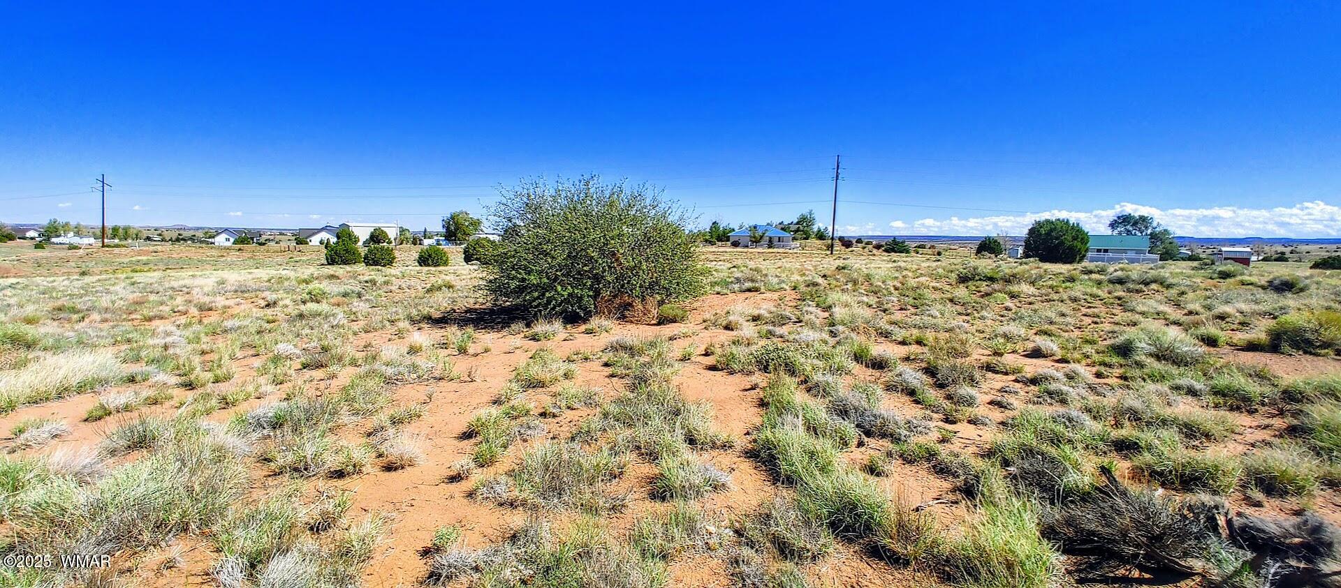 1190 Haystack Road Taylor, AZ 85939 - Photo 4 of 7 a view of a dry yard with trees