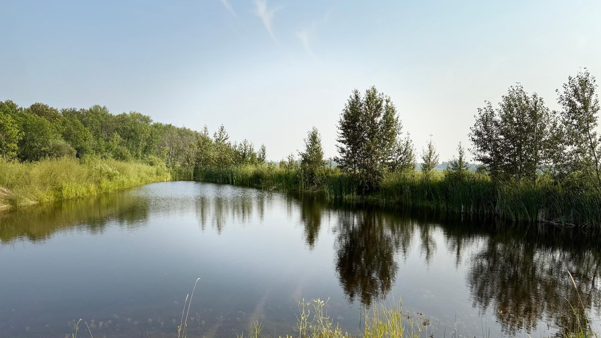 Tbd5 Sunflower Road Northeast Kelliher, MN 56650 - Photo 12 of 23