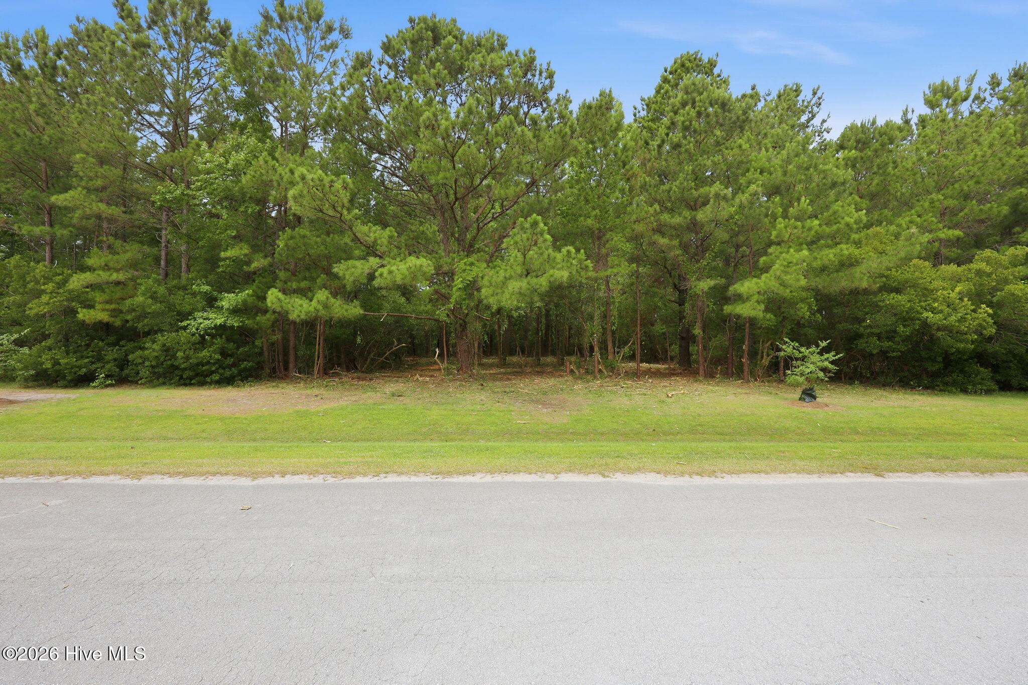 240 Silver Acres Road Merritt, NC 28556 - Photo 9 of 20
