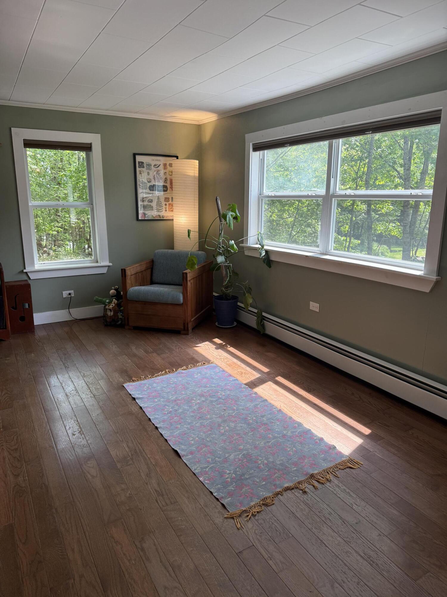 131 Weymouth Road Morrill, ME 04952 - Photo 29 of 53 IMG_4723