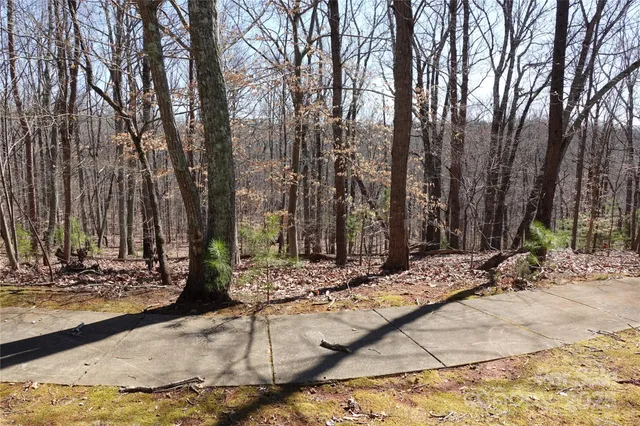 a wooden bench with trees in the background