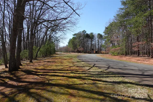 a view of a yard with large trees