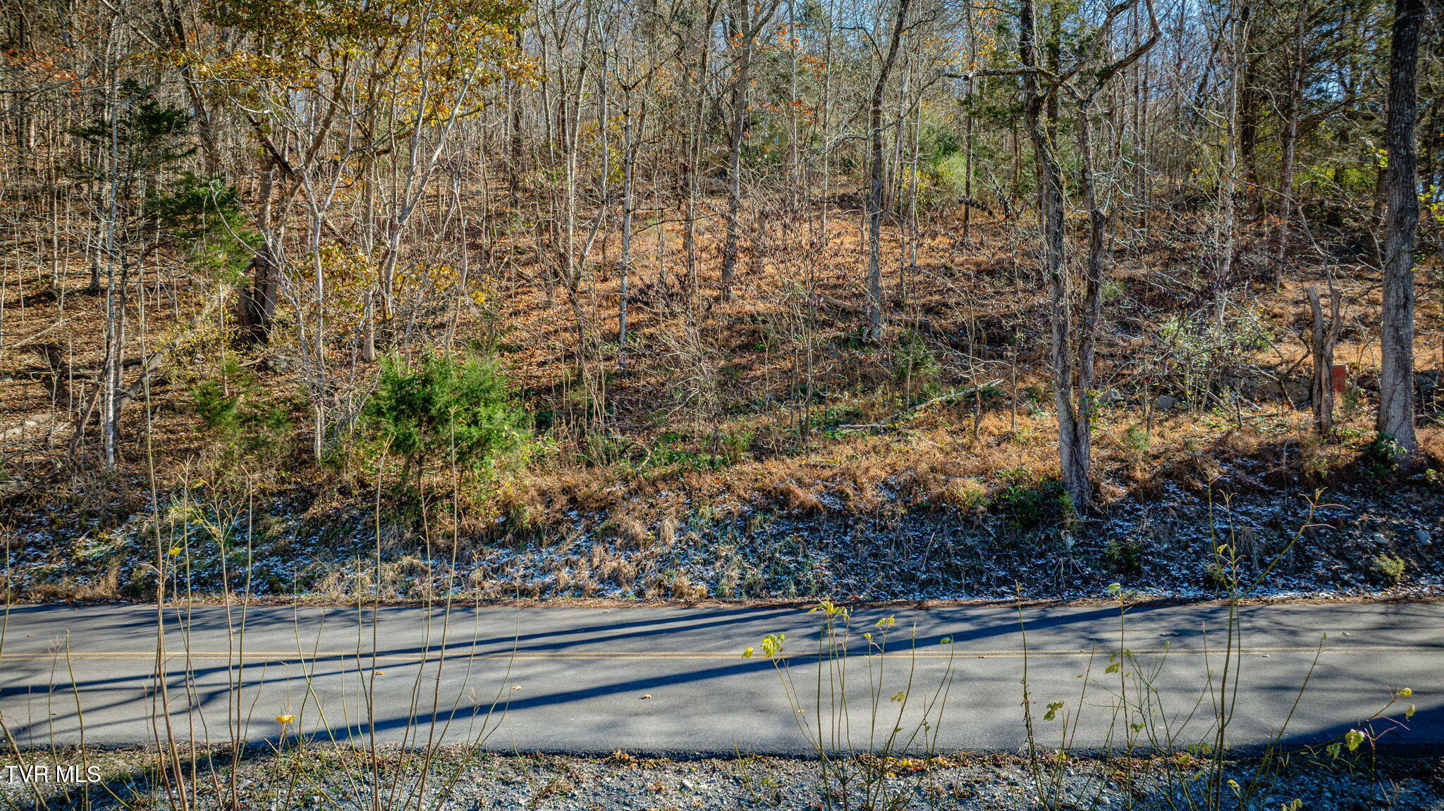 Tbd Beulah Church Road Kingsport, TN 37663 - Photo 13 of 15 112