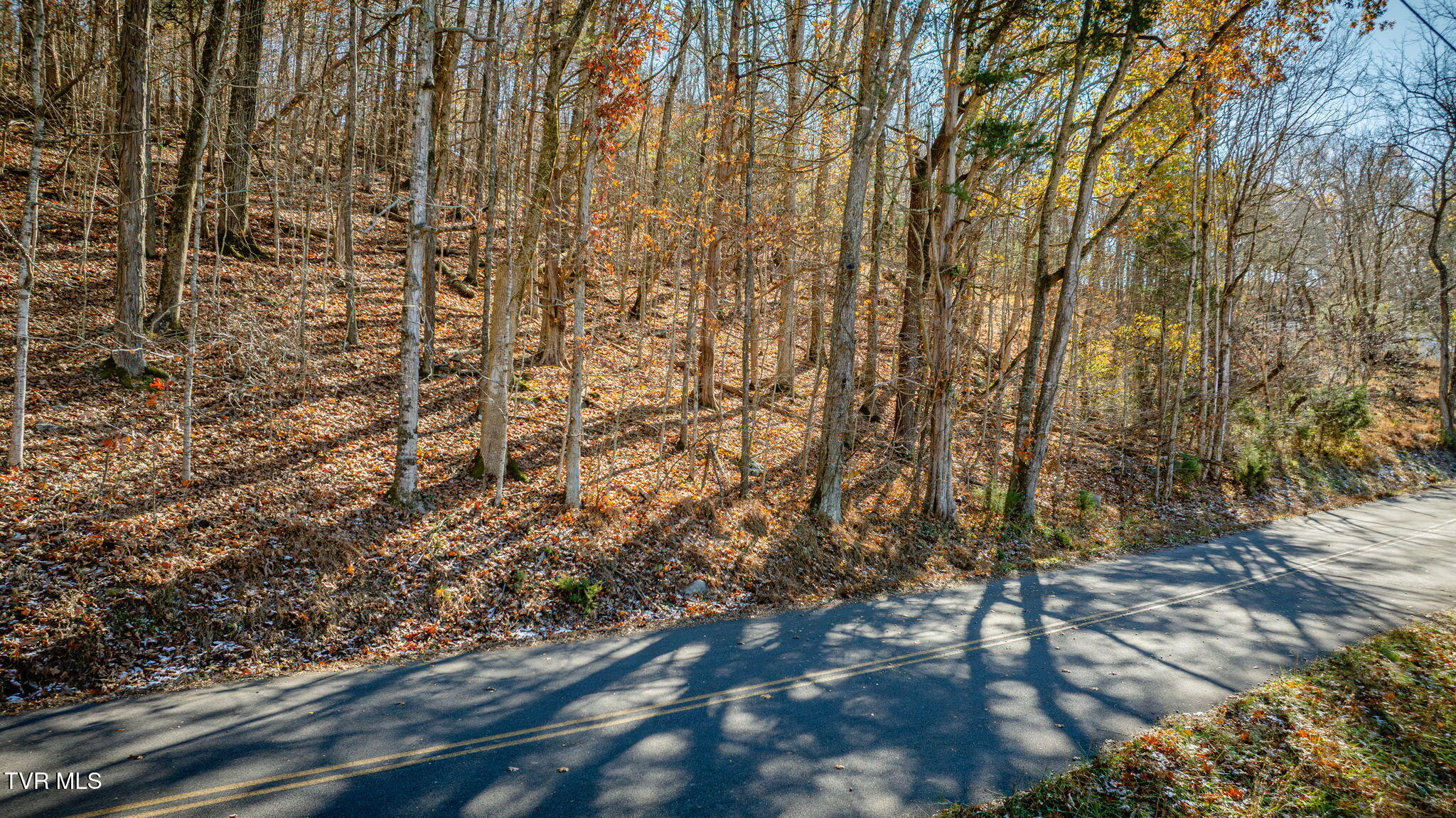 Tbd Beulah Church Road Kingsport, TN 37663 - Photo 14 of 15 113