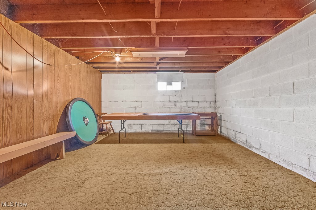 1165 Homeworth Road Alliance, OH 44601 - Photo 33 of 36 Basement with carpet and wooden walls