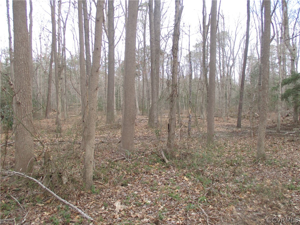 522 Old Bermuda Hundred Road Chester, VA 23836 - Photo 45 of 49 Gallery Image 45