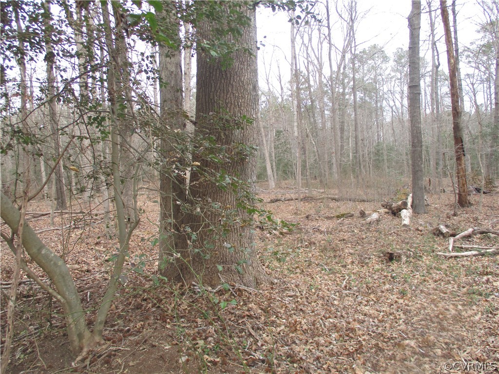 522 Old Bermuda Hundred Road Chester, VA 23836 - Photo 46 of 49 Gallery Image 46