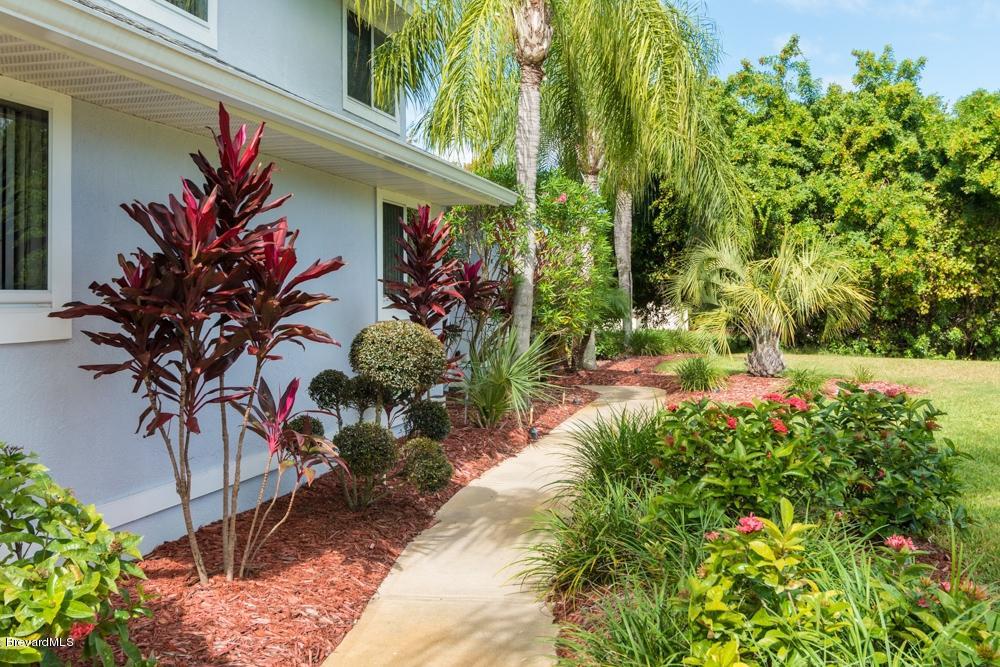 3570 Big Pine Road Melbourne, FL 32934 - Photo 3 of 27 a potted plant sitting in front of a house