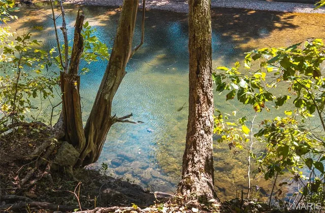 $249,900 | 86 Klein Cut-Off Road, Steelville, MO 65565