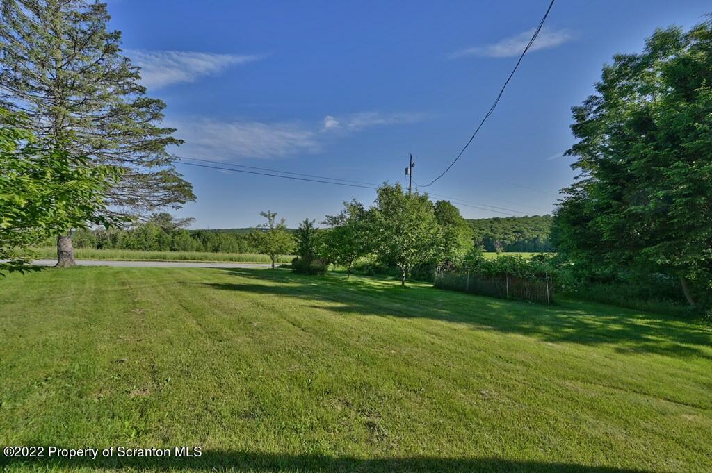 217 Hemlock Road Lake Ariel, PA 18436 - Photo 48 of 54 a view of a big yard