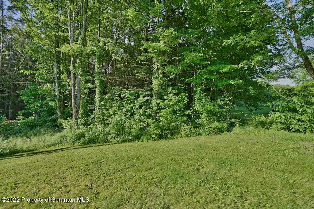 217 Hemlock Road Lake Ariel, PA 18436 - Photo 52 of 54 a view of a yard with a tree