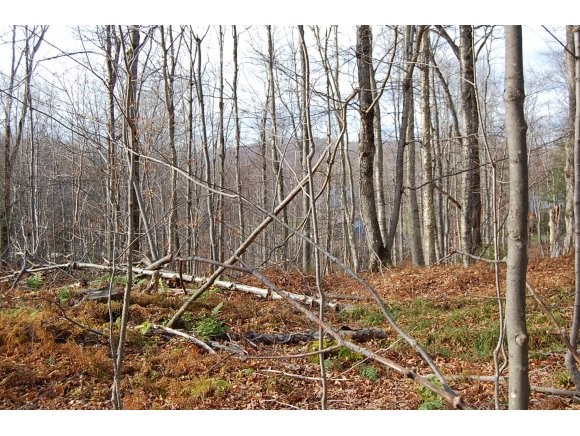 40 Maple Leaf Road Underhill, VT 05489 - Photo 1 of 1 Gallery Image 1