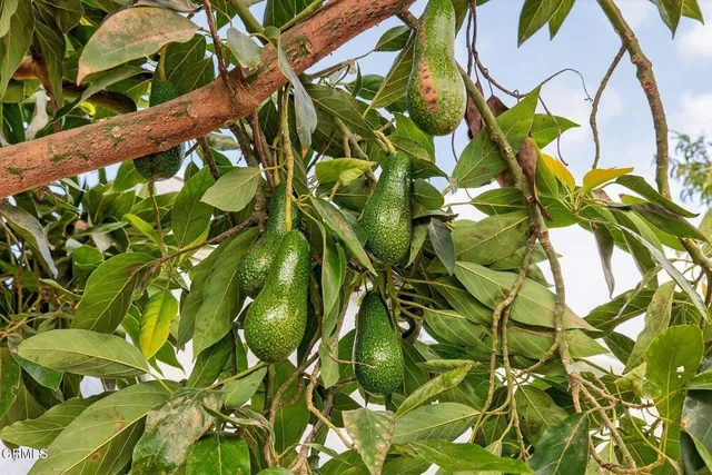 $845,000 | 295 West Mission Avenue, Ventura, CA 93001