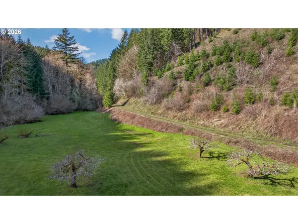 a view of a backyard