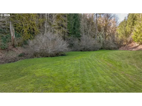 a open area with trees in the background