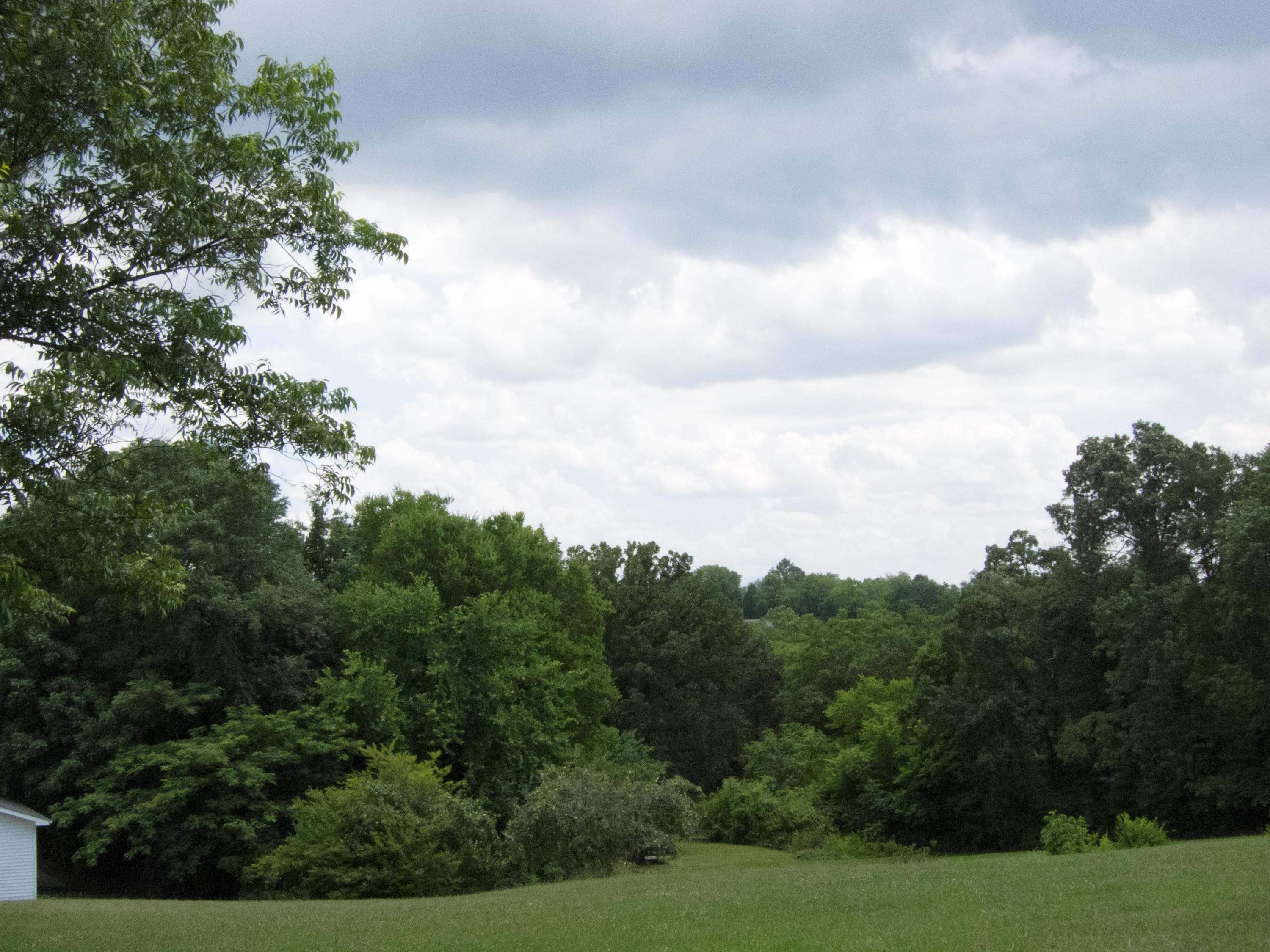 Hilltop Road Dandridge, TN 37725 - Photo 4 of 10 Lot on Hilltop Dandridge-2