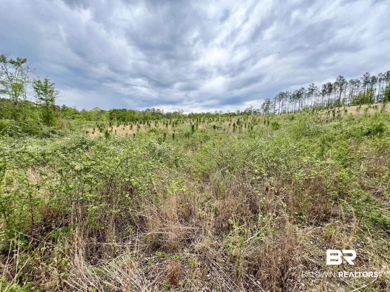 0 Pine Street St. Stephens, AL 36569 - Photo 3 of 26