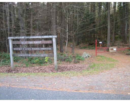 88 Reservation Road Sunderland, MA 01375 - Photo 23 of 23 Gallery Image 23